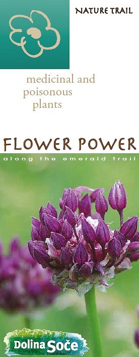 Flower power_cover