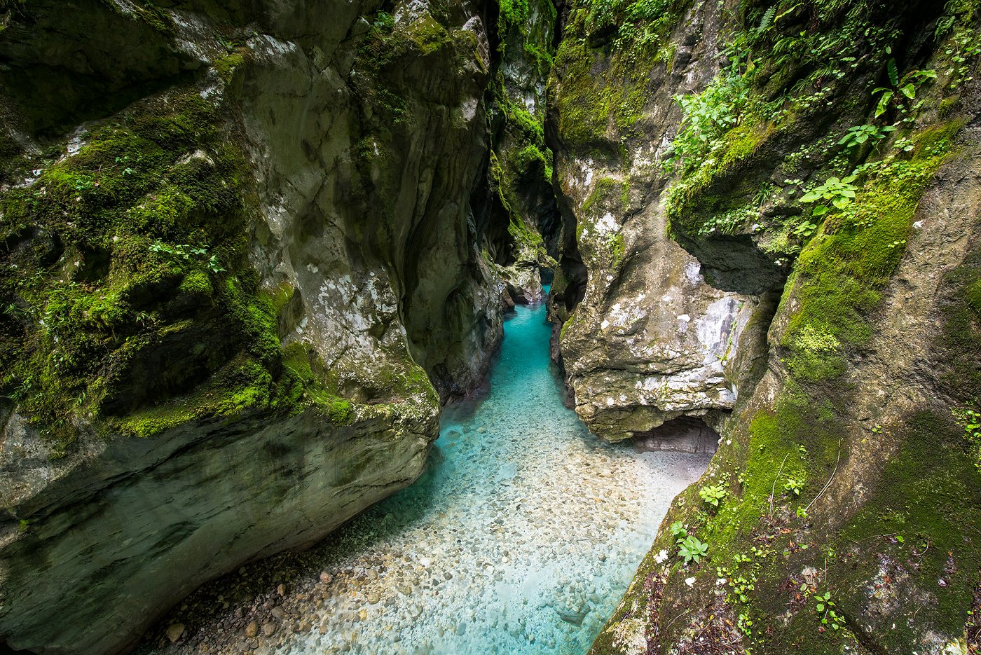 Le gole di Tolmin, Tolmin