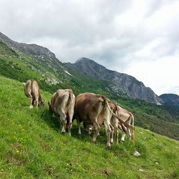 Kmetija Beguš