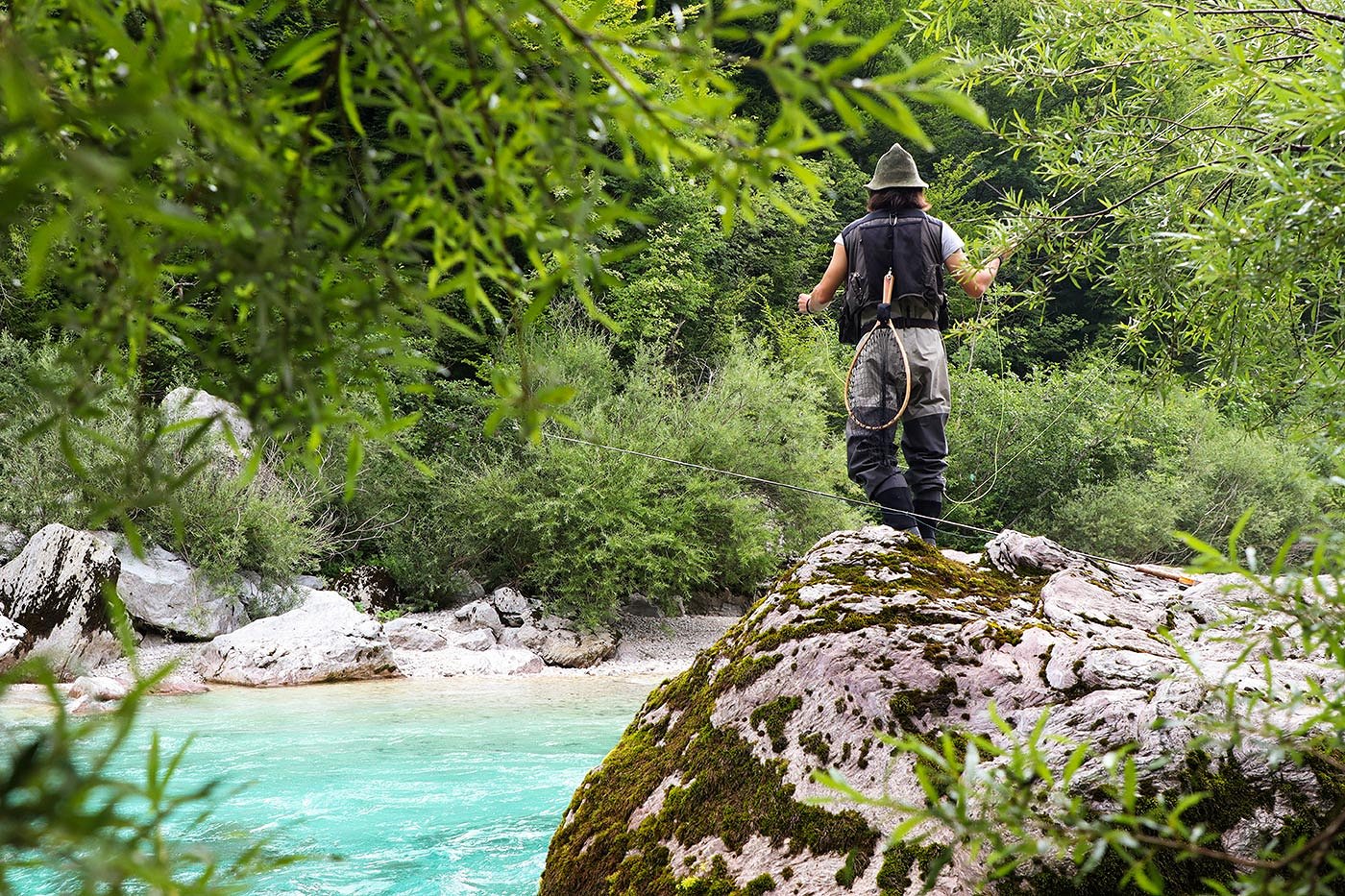 Ribič muhari na skali ob smaragdni reki Soči