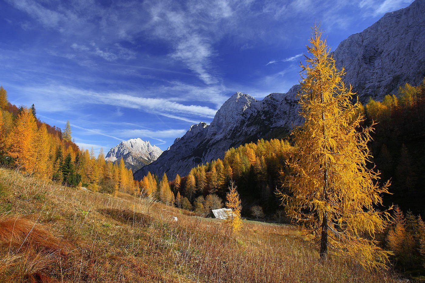 Planina Zapotok, Trenta