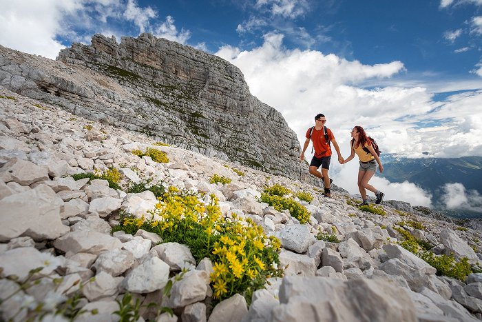 Hikers walk in the high mountains past yellow mountain flowers