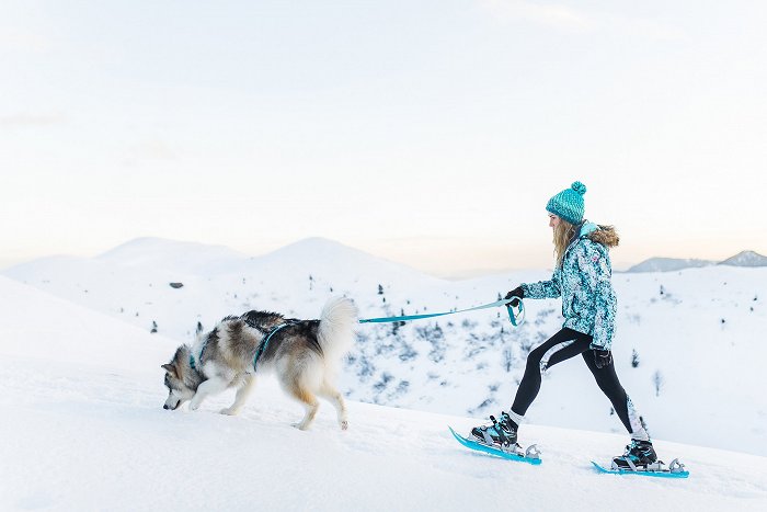 A girl with snowshoes walks a dog along a snowy bank
