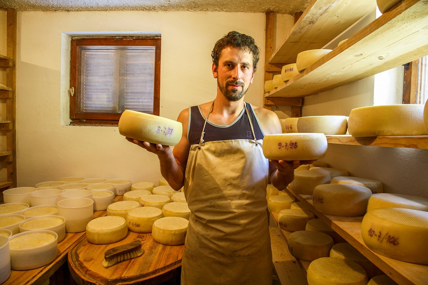 Kmet drži v roki dve kolesi sira v svoji sirarni polni sira