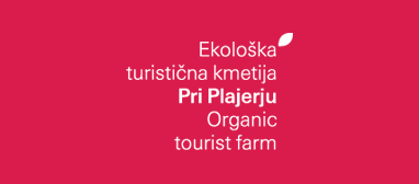 Pri_plajerju-logo.png