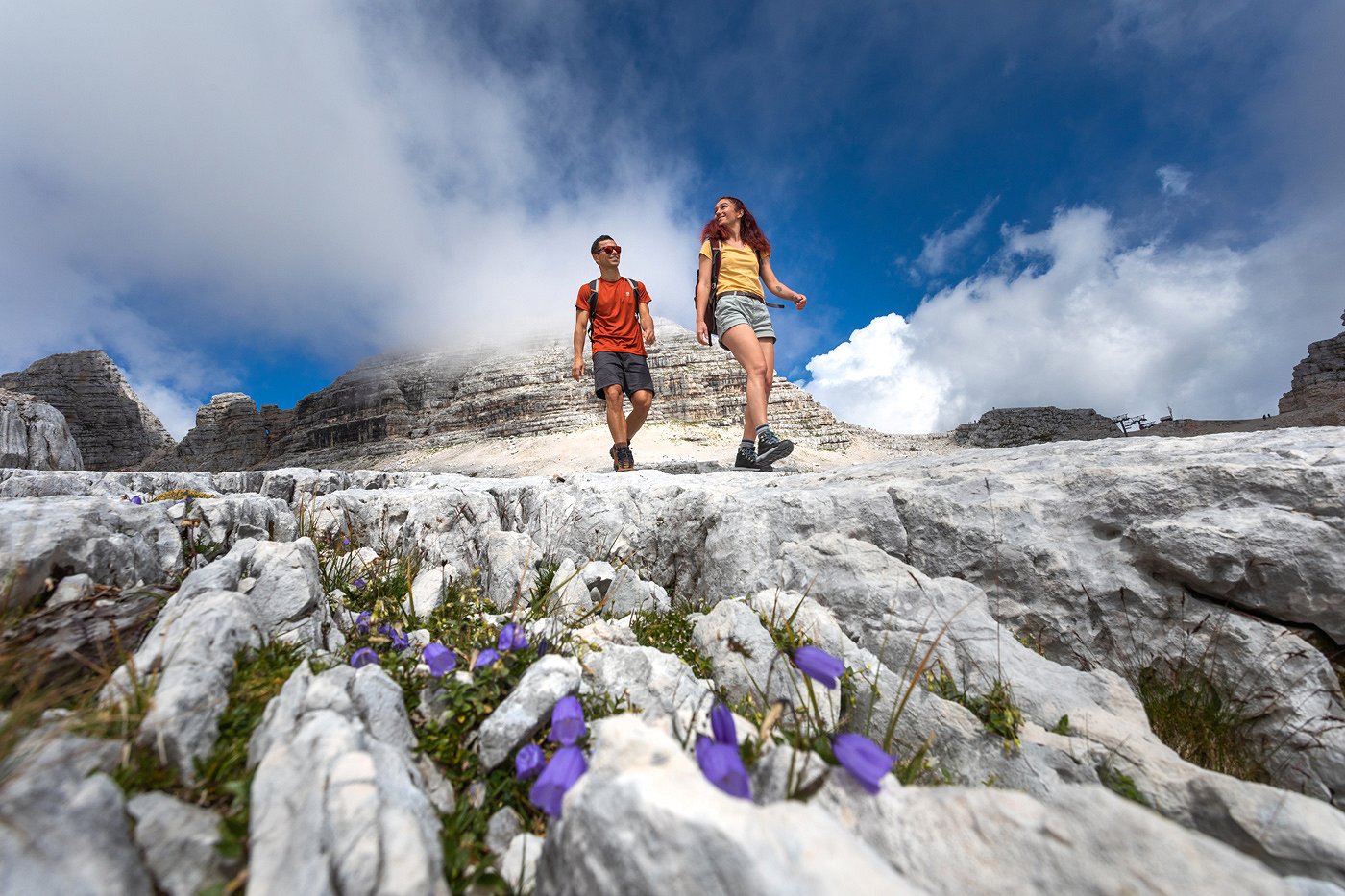Hikers enjoy the mountains in a bed of flowers