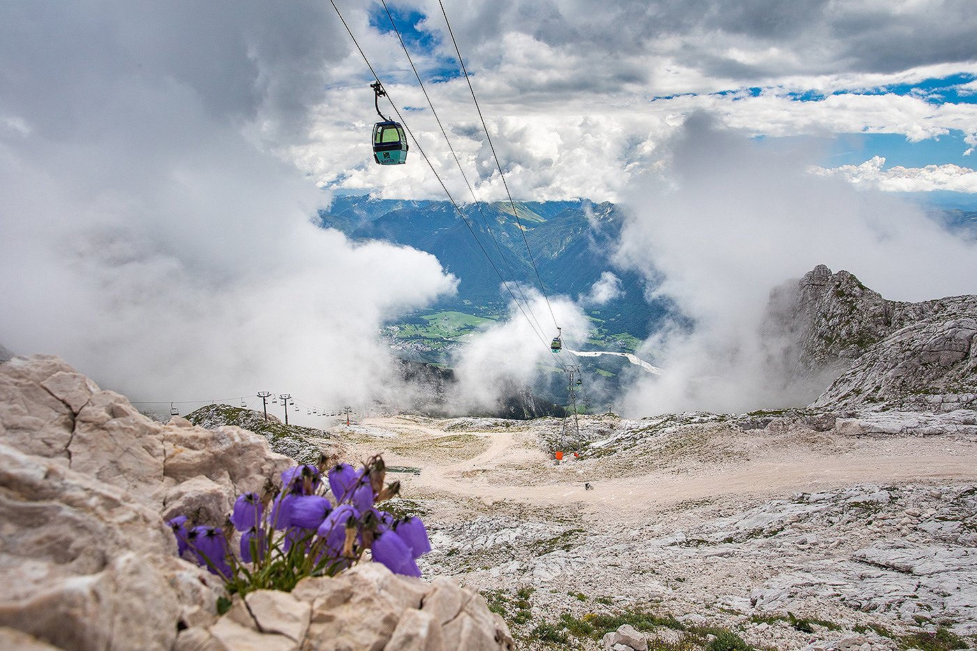 The gondola climbs among the clouds up to Kanin, zois bellflowers bloom on the rocky ground