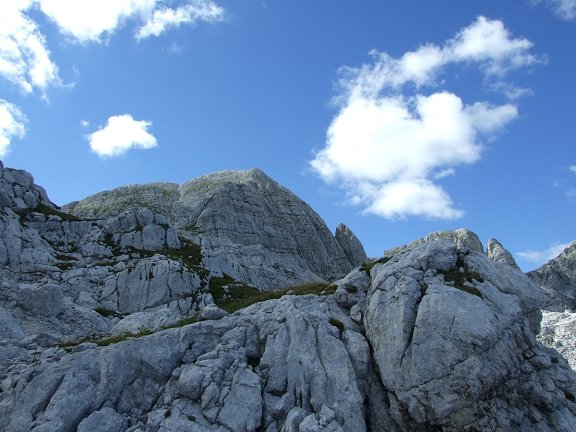 vrh-laske-planje-Darjo_Berra.jpg