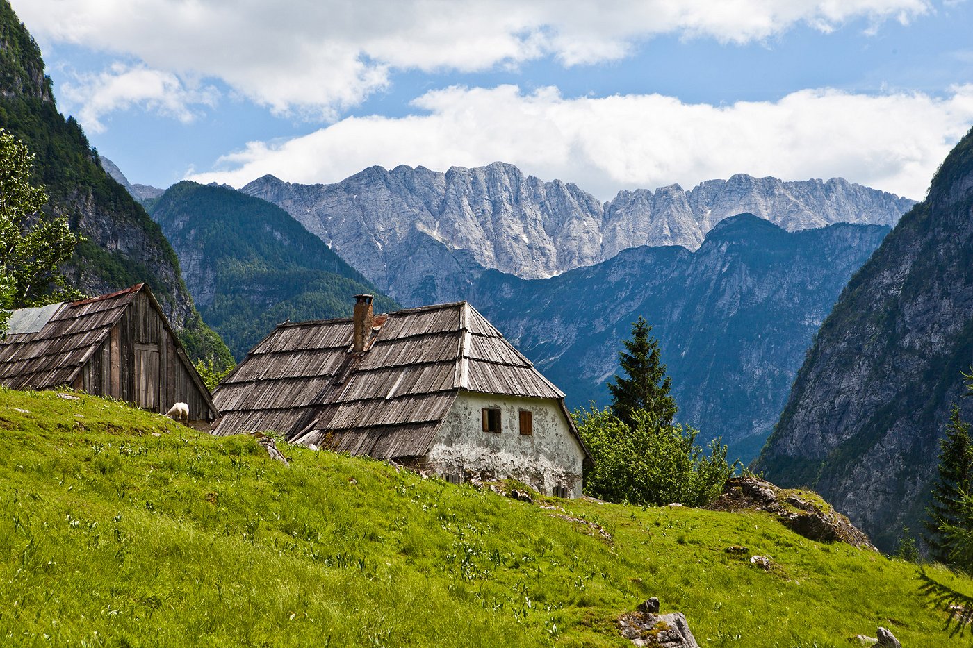 An old homestead with a wooden roof, in the background the Julian Alps