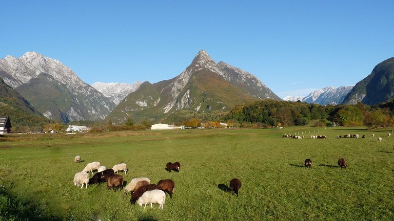 Slika-TD_Bovec.jpg