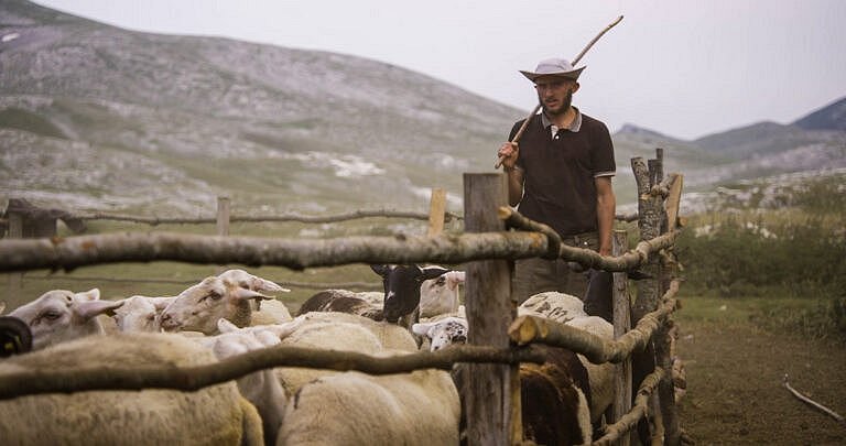 Gora se bo premaknila - Kinogledališče Tolmin