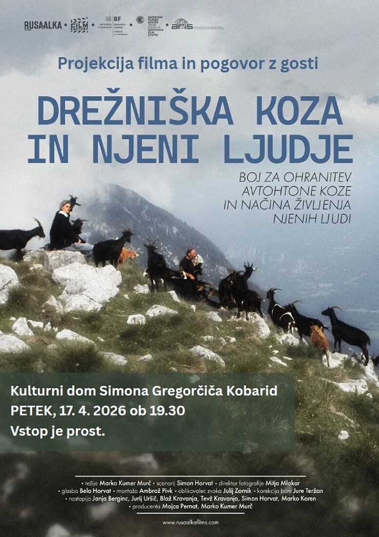 Drežniška koza